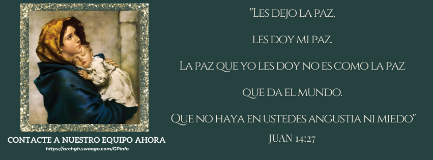 Proyecto Gabriel